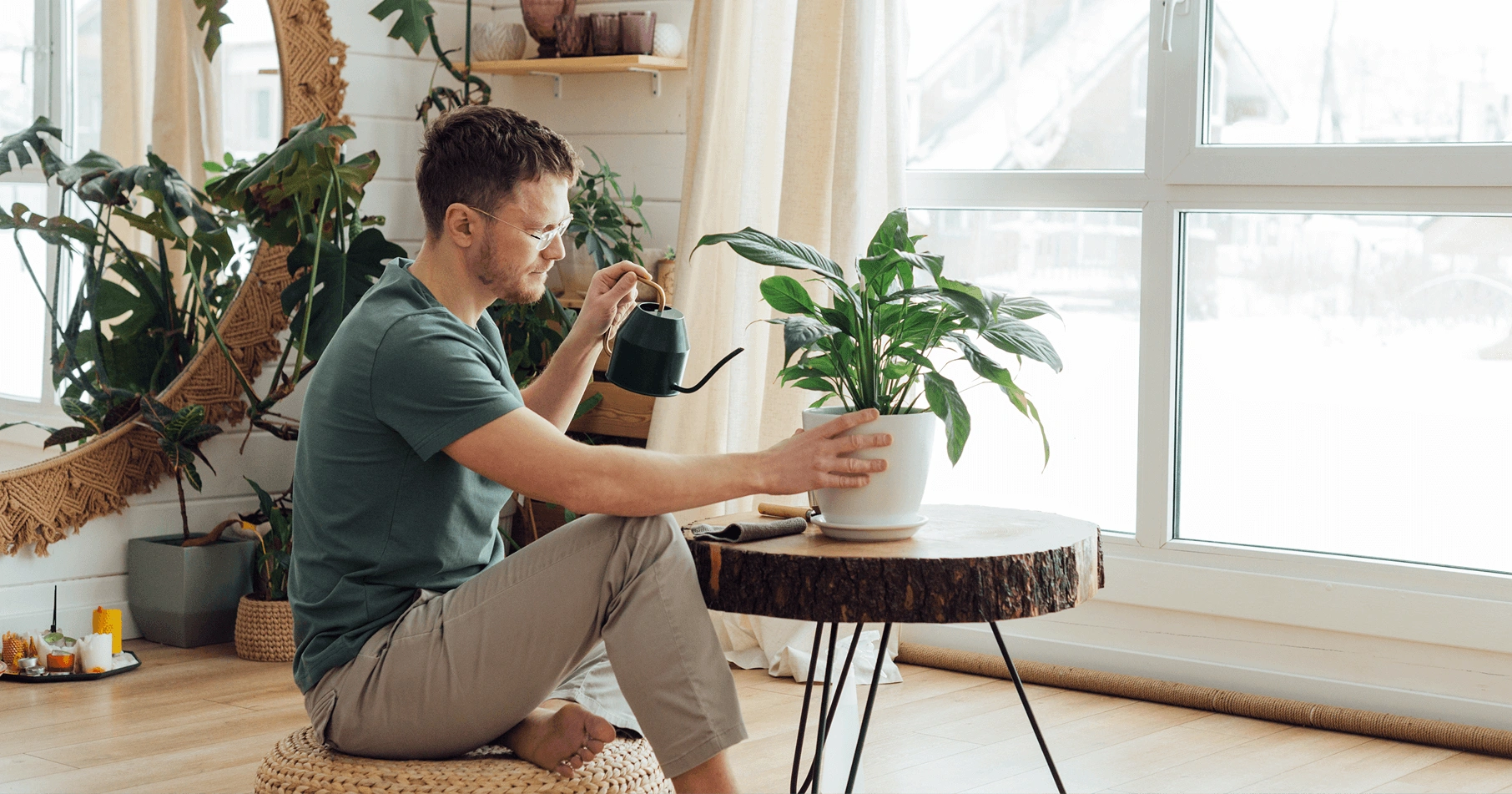 indoor plants