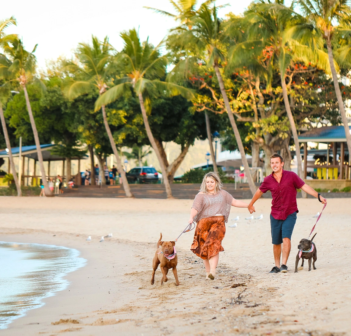 Buyer conveyancing QLD